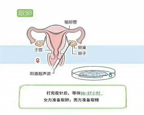 成都借卵试管医院男孩要花多少钱？附医院介绍？,借精试管代孕